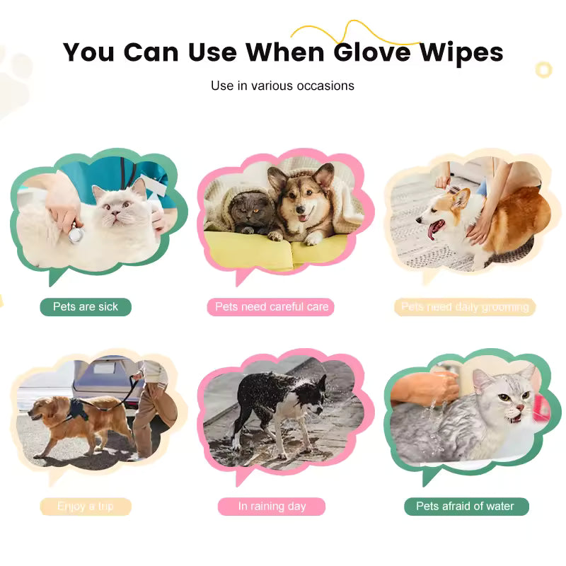 OEM Biodegradable Pet Glove Wipes | Little Cotton