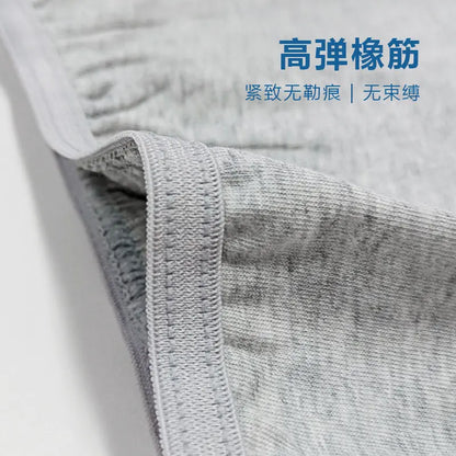 Premium men's disposable boxer briefs in plus size, retail 5-pack for travel and spa, mass-produced by Little Cotton OEM facility.