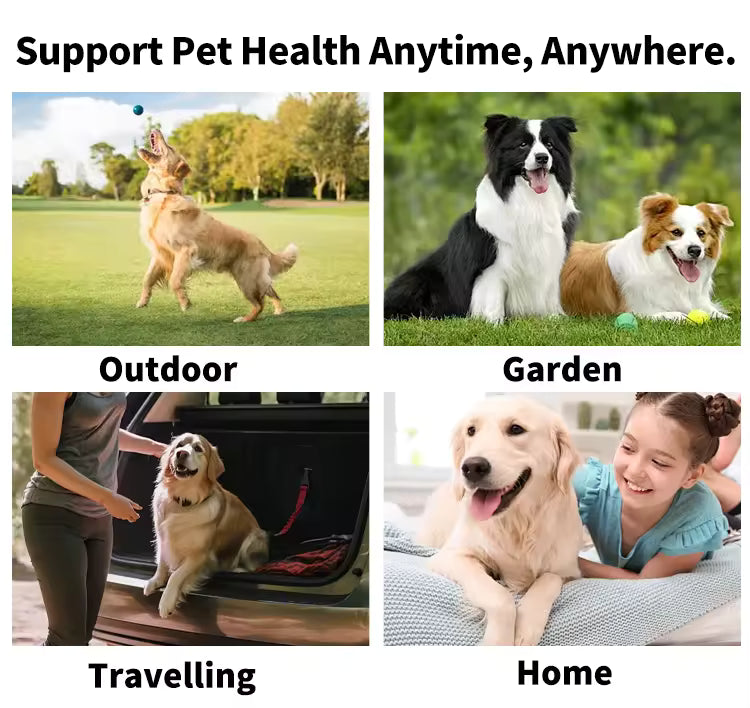 OEM Biodegradable Pet Cleaning Glove Wipes | Jar Pack | Little Cotton