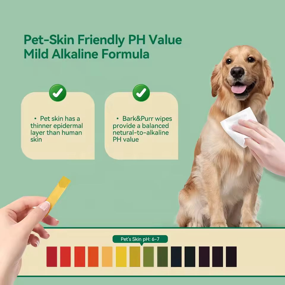 OEM 100% Biodegradable Bamboo Pet Wipes | Hypoallergenic | Little Cotton