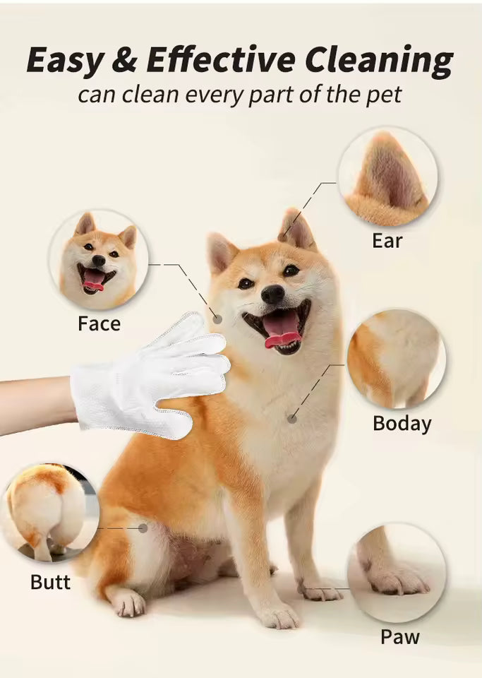 OEM Biodegradable Pet Cleaning Glove Wipes | Jar Pack | Little Cotton