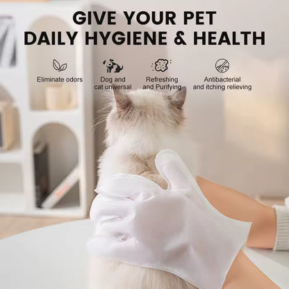 OEM Biodegradable Pet Glove Wipes | Little Cotton