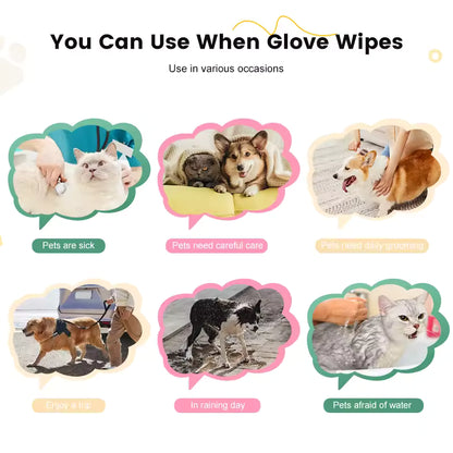 OEM Biodegradable Pet Glove Wipes | Little Cotton